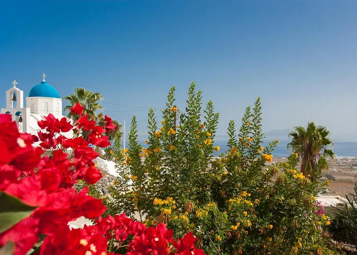 Dionysos Cave Villa With Plunge Pool Near Wineries Villa *